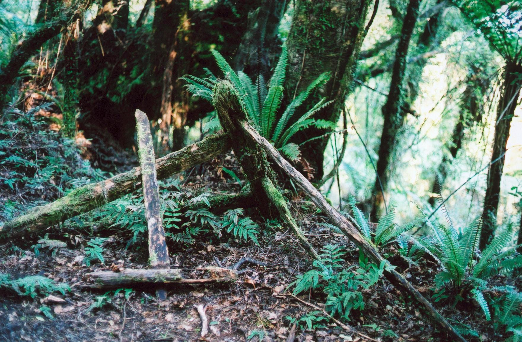 Isolation in the colonial period – Southern Cemeteries Archaeology Project